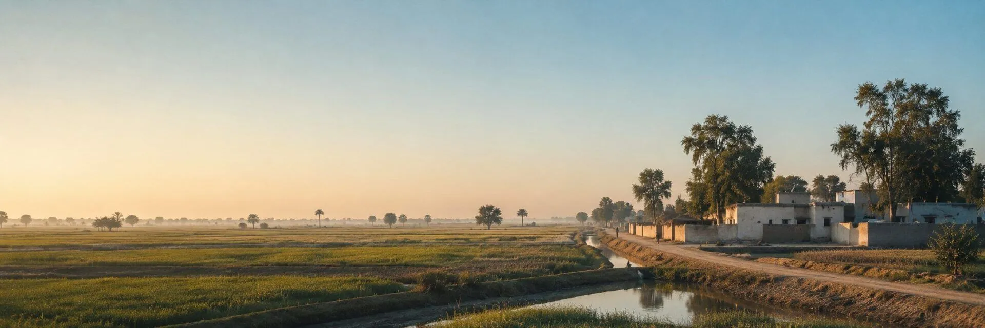 Wide view of irrigated farmland at dawn in interior Sindh, with a cluster of whitewashed village buildings and trees along a track on the right.