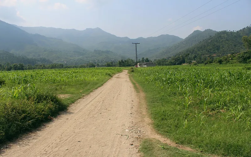 Dirt road through lush fields with mountains in Swabi, Pakistan, Khyber Pakhtunkhwa