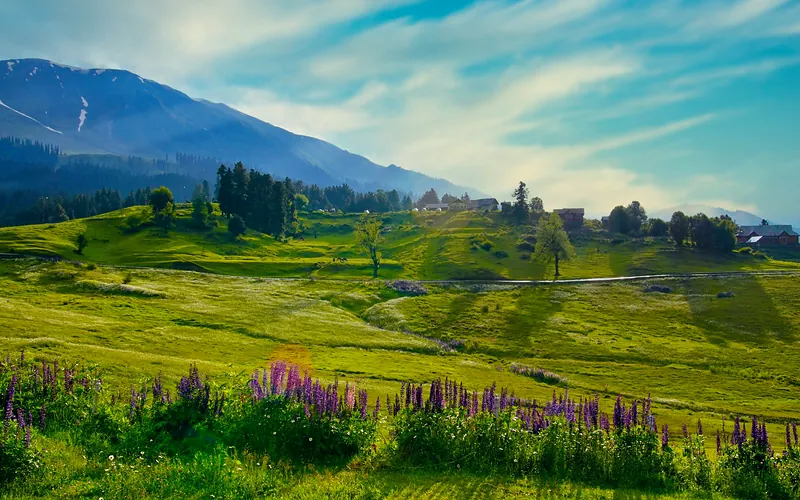 Vibrant green landscape with mountains and wildflowers under a blue sky in Kashmir, Azad Kashmir