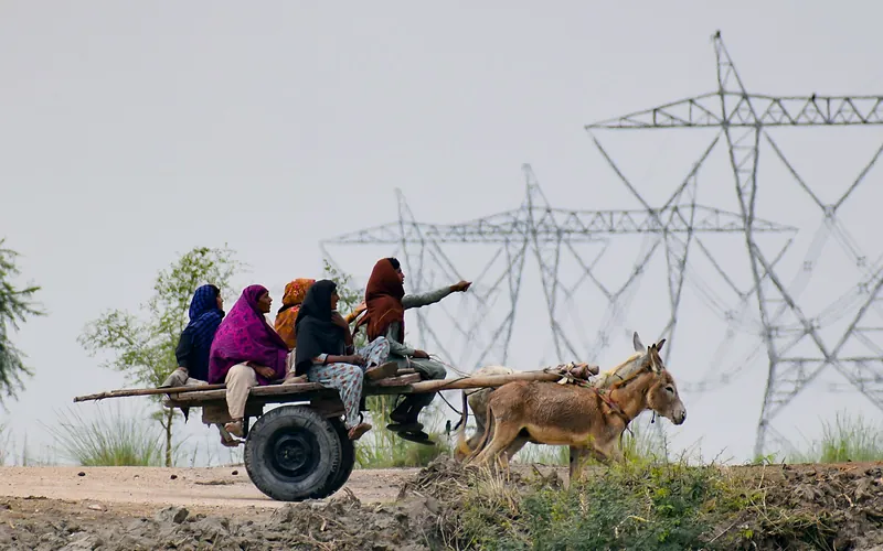 A group of people traveling on a donkey cart through rural Sindh, Pakistan, Sindh